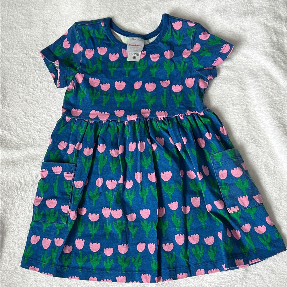 Hanna Andersson Floral Blue Dress